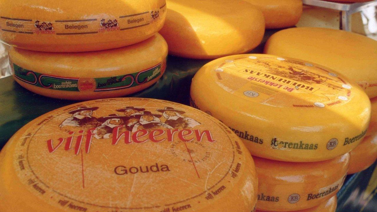 Cheese Slices backdrop
