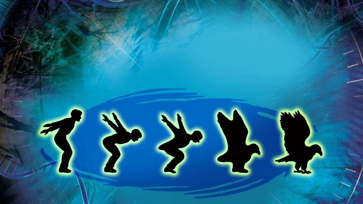 Animorphs backdrop