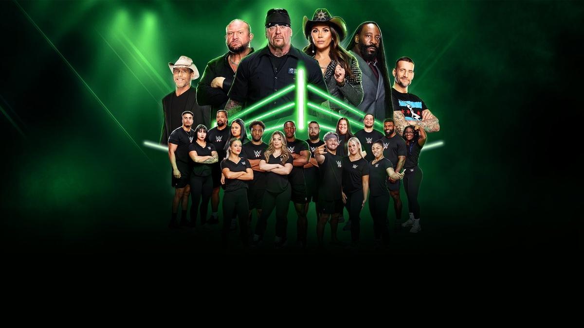 WWE LFG backdrop