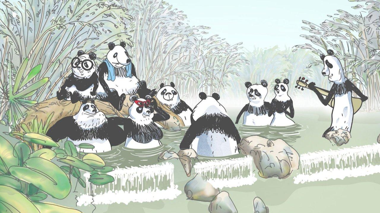 Pandas in the Mist backdrop