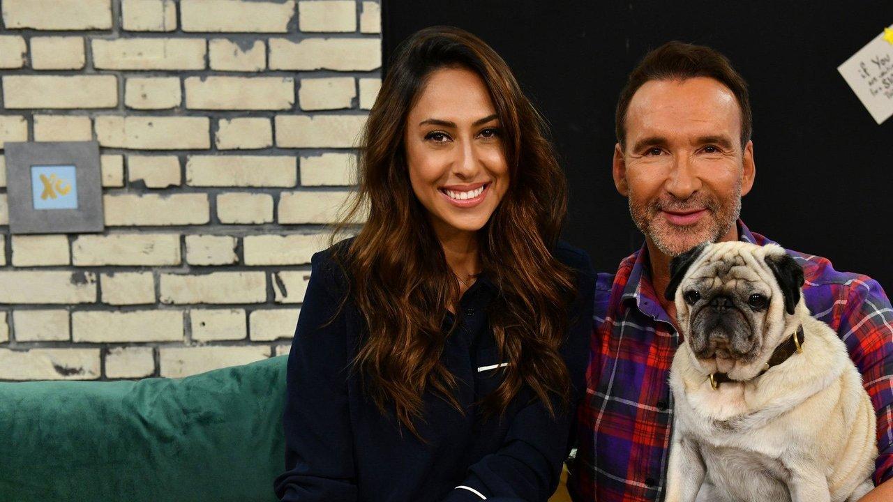 Promi Big Brother - Die Late Night Show backdrop