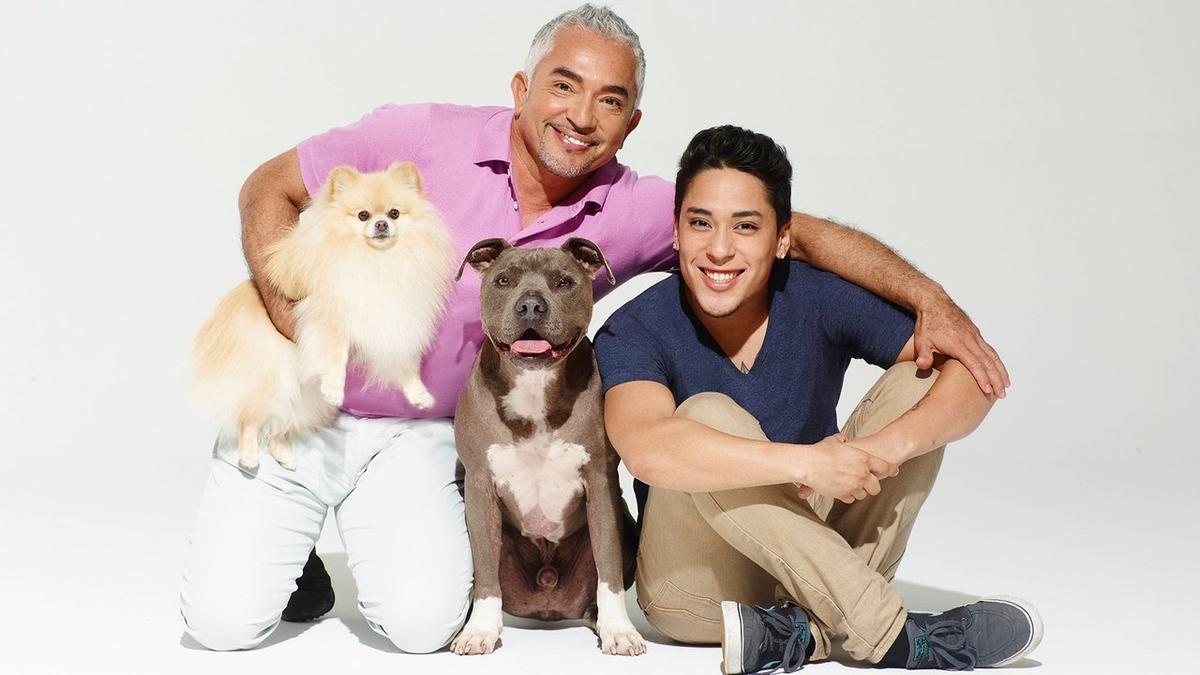 Cesar Millan's Dog Nation backdrop