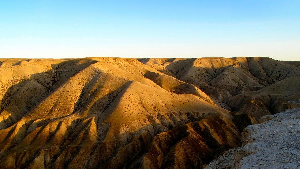 Deserts and Life backdrop