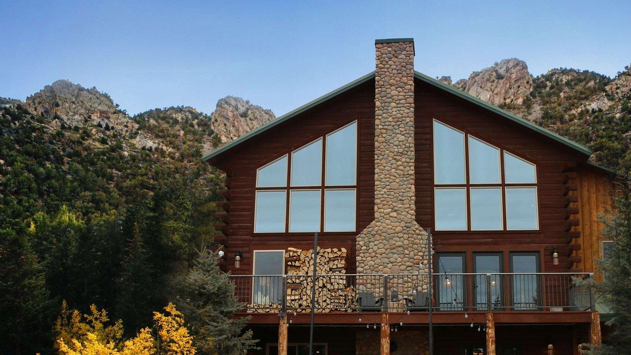 Building Roots backdrop