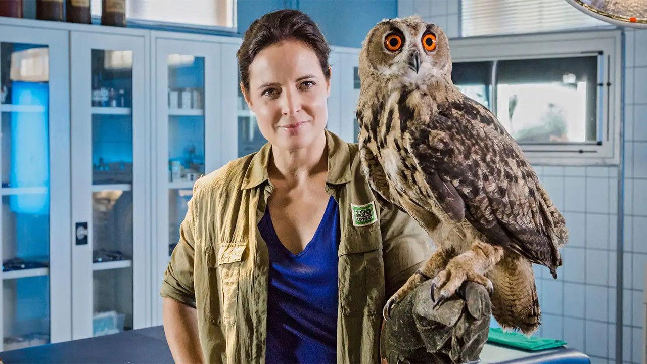 Tierärztin Dr. Mertens backdrop