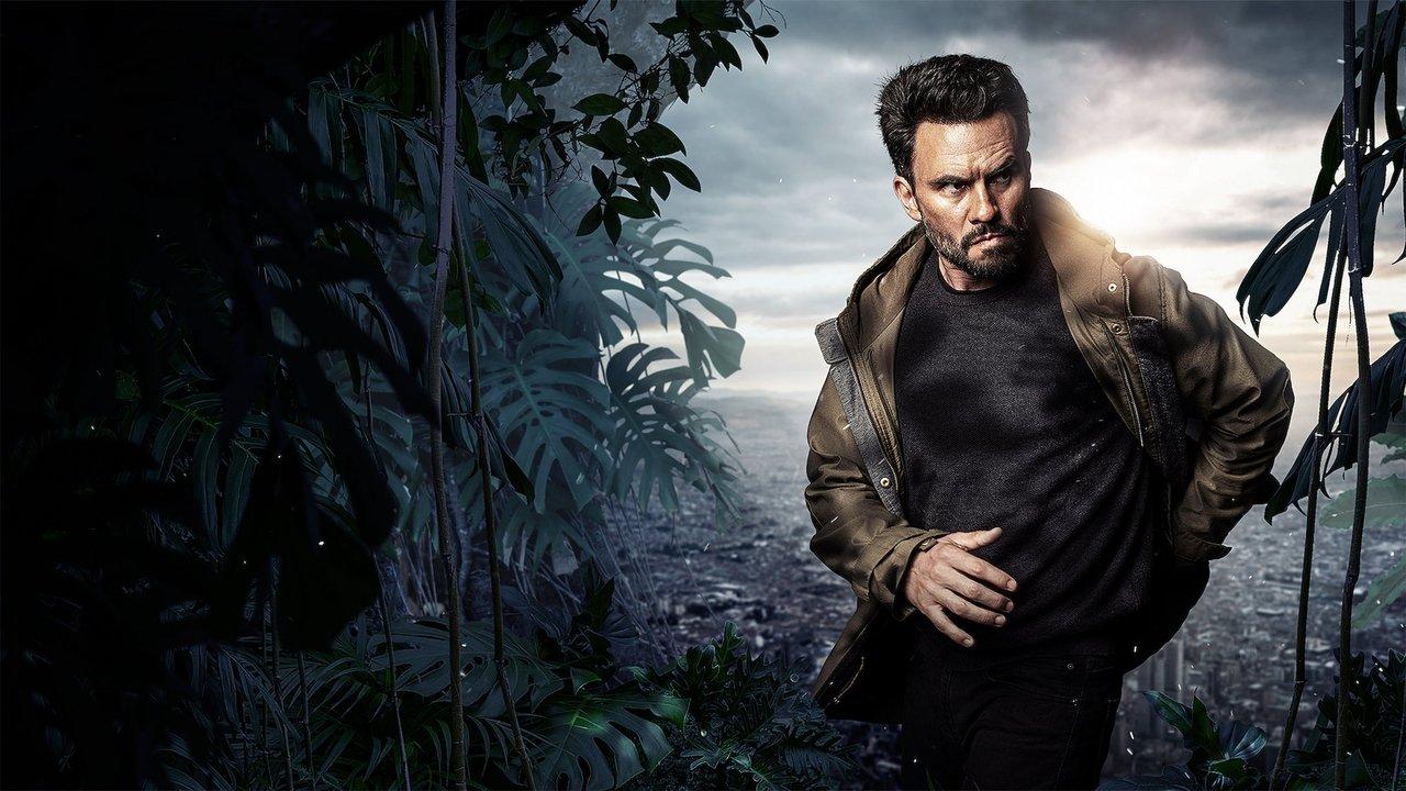 Wild District backdrop