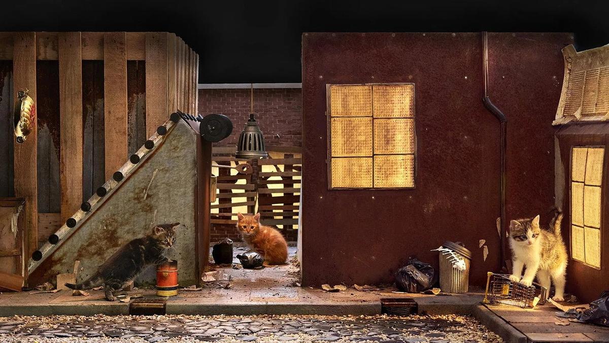 Poesjes backdrop