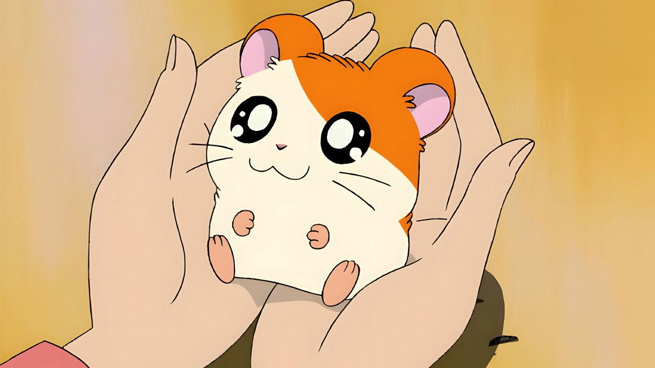 Hamtaro backdrop