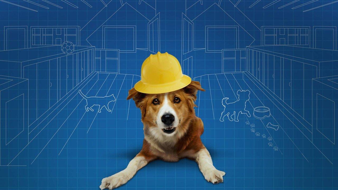 Pet Nation Renovation backdrop