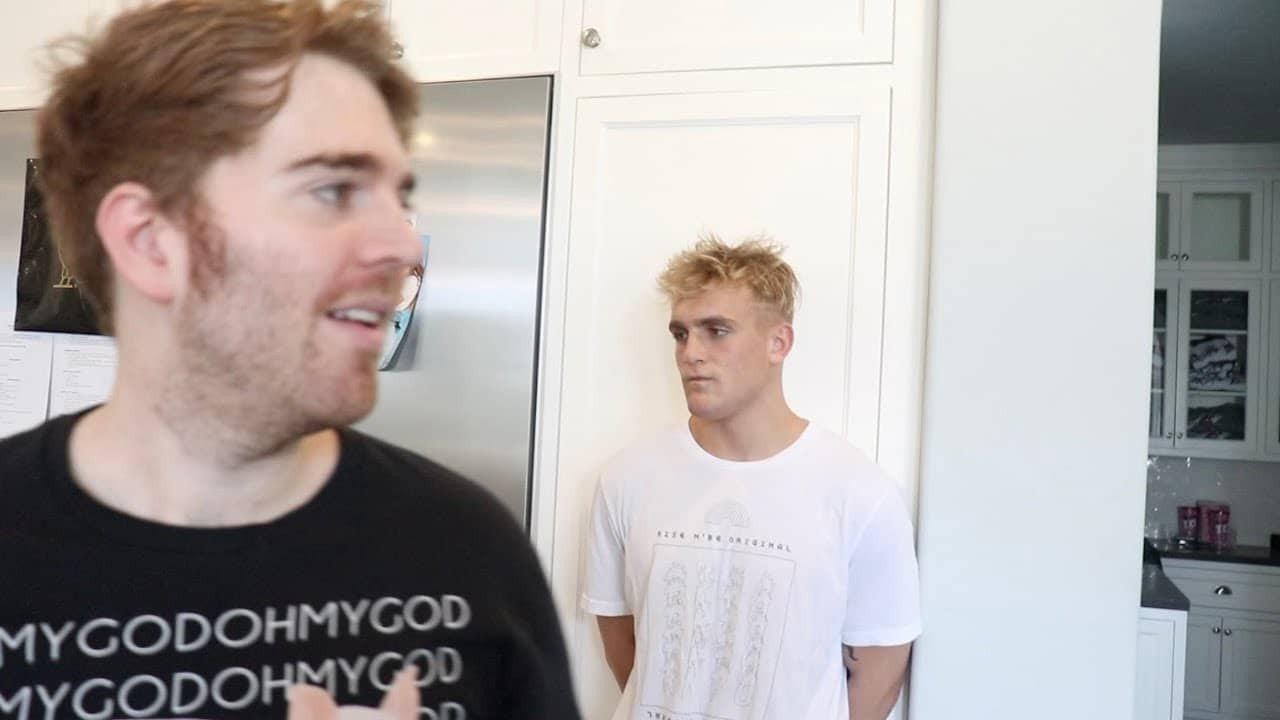 The Mind of Jake Paul backdrop