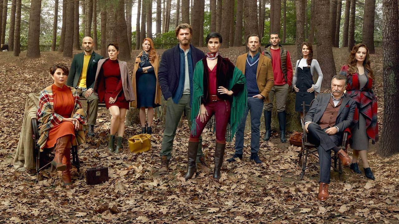 Brave and Beautiful backdrop