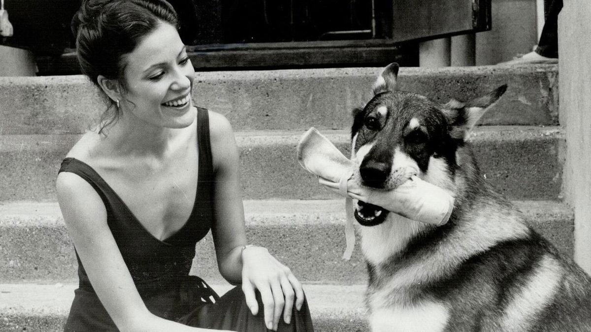 The Littlest Hobo backdrop