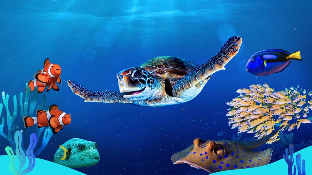 Reef School backdrop