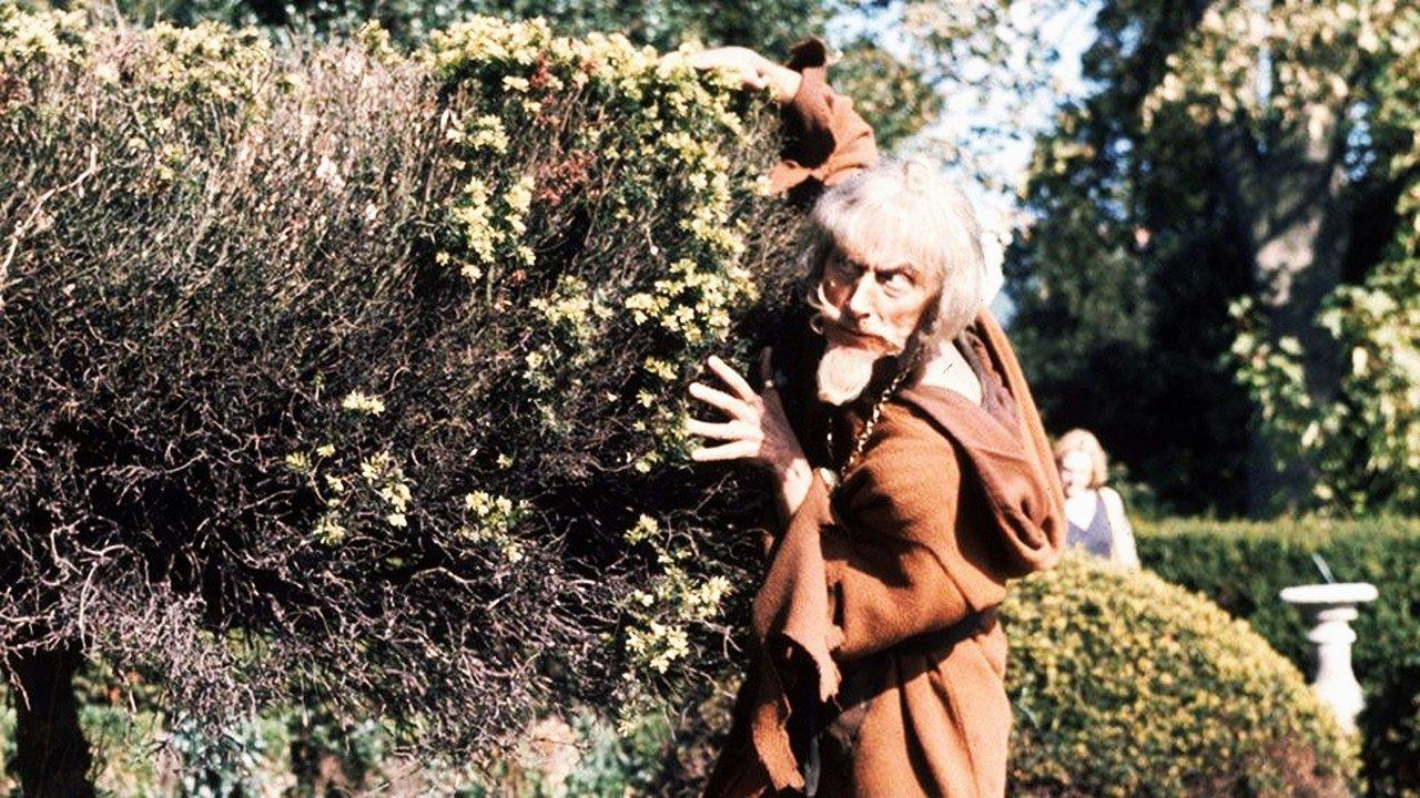 Catweazle backdrop