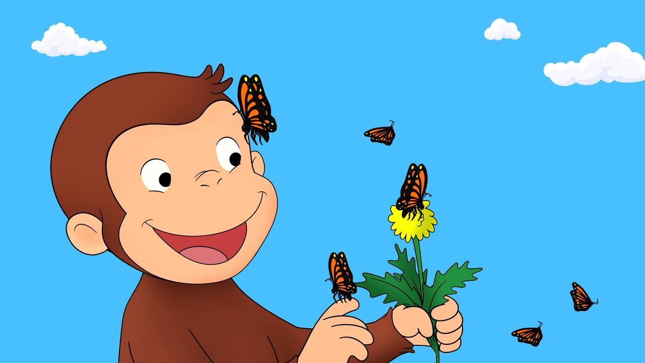 Curious George backdrop