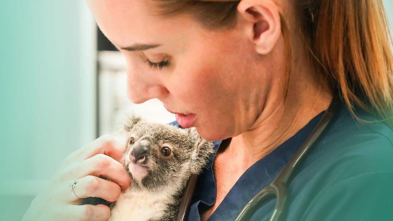 Wildlife ER backdrop