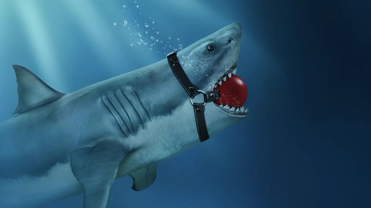 Shark Lords backdrop