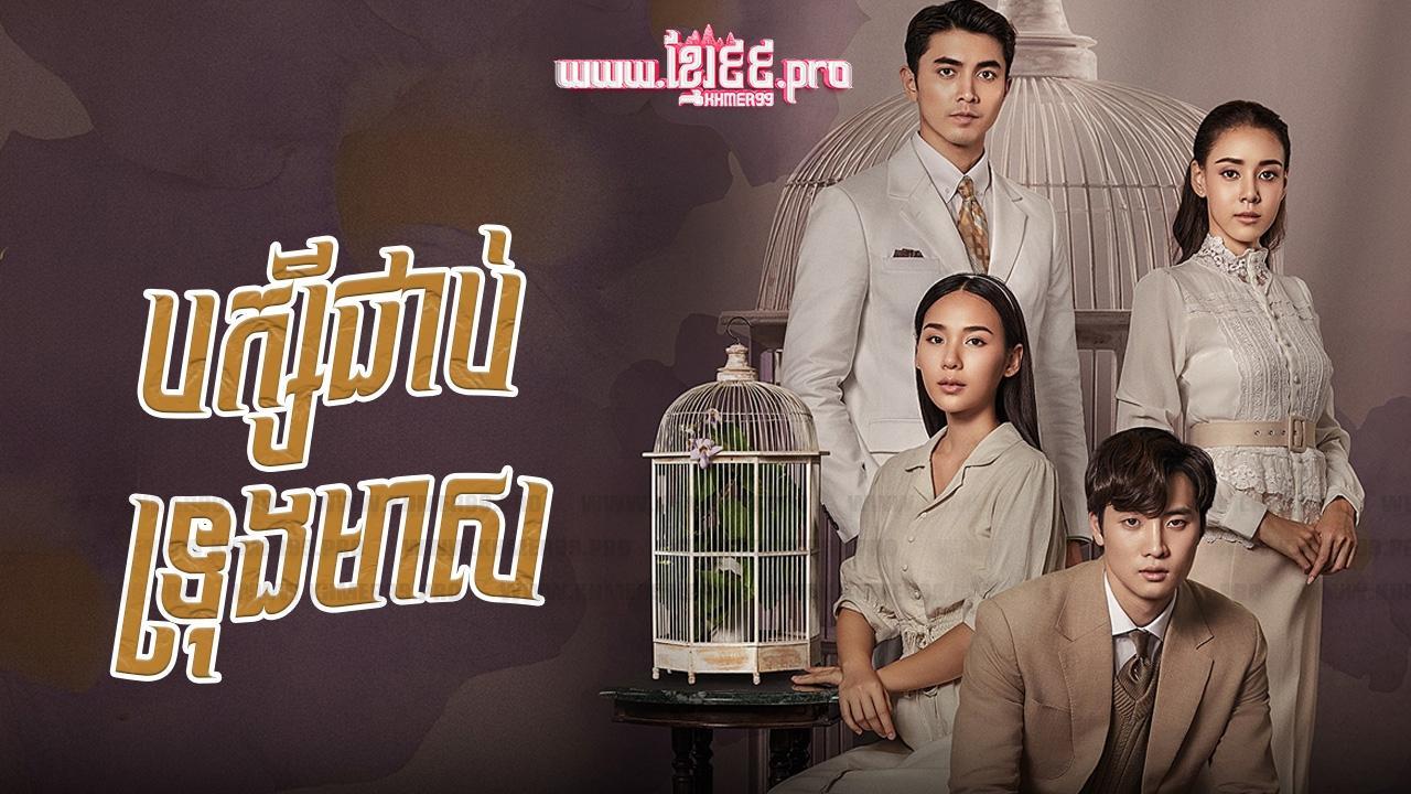 Love in a Cage backdrop