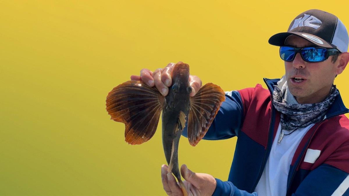 Fish My City With Mike Iacinelli backdrop