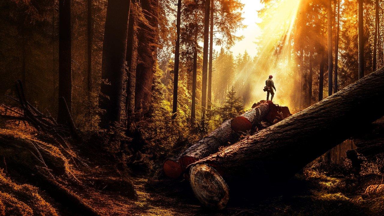 The Last Woodsmen backdrop