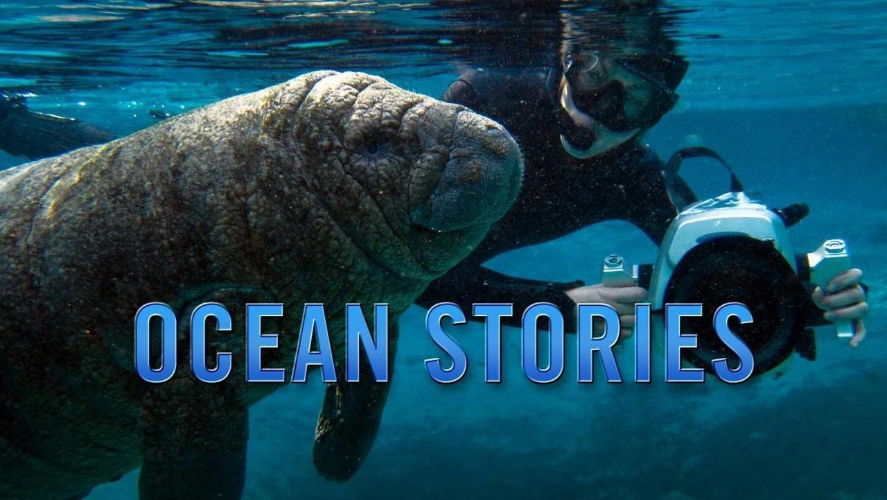 Ocean Stories backdrop