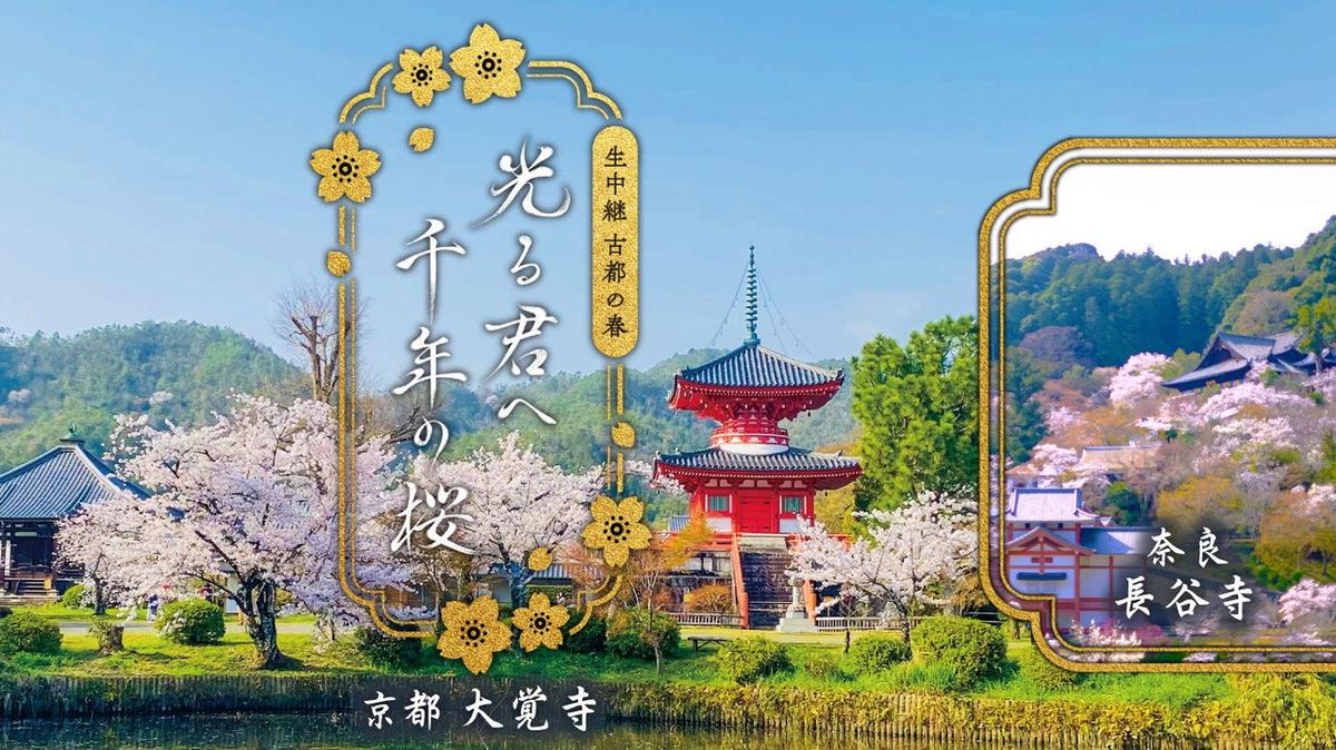 Spring in the Ancient Capitals of Japan backdrop