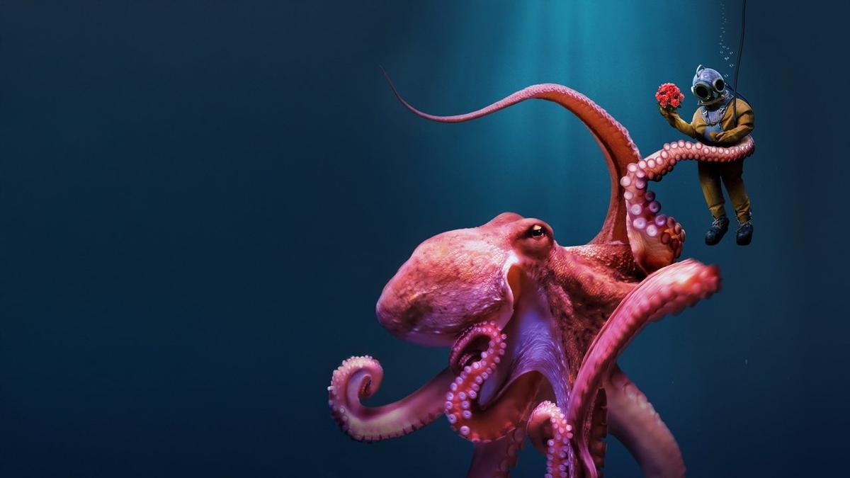 Octopus! backdrop