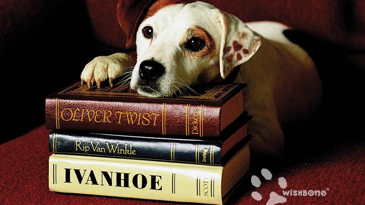 Wishbone backdrop