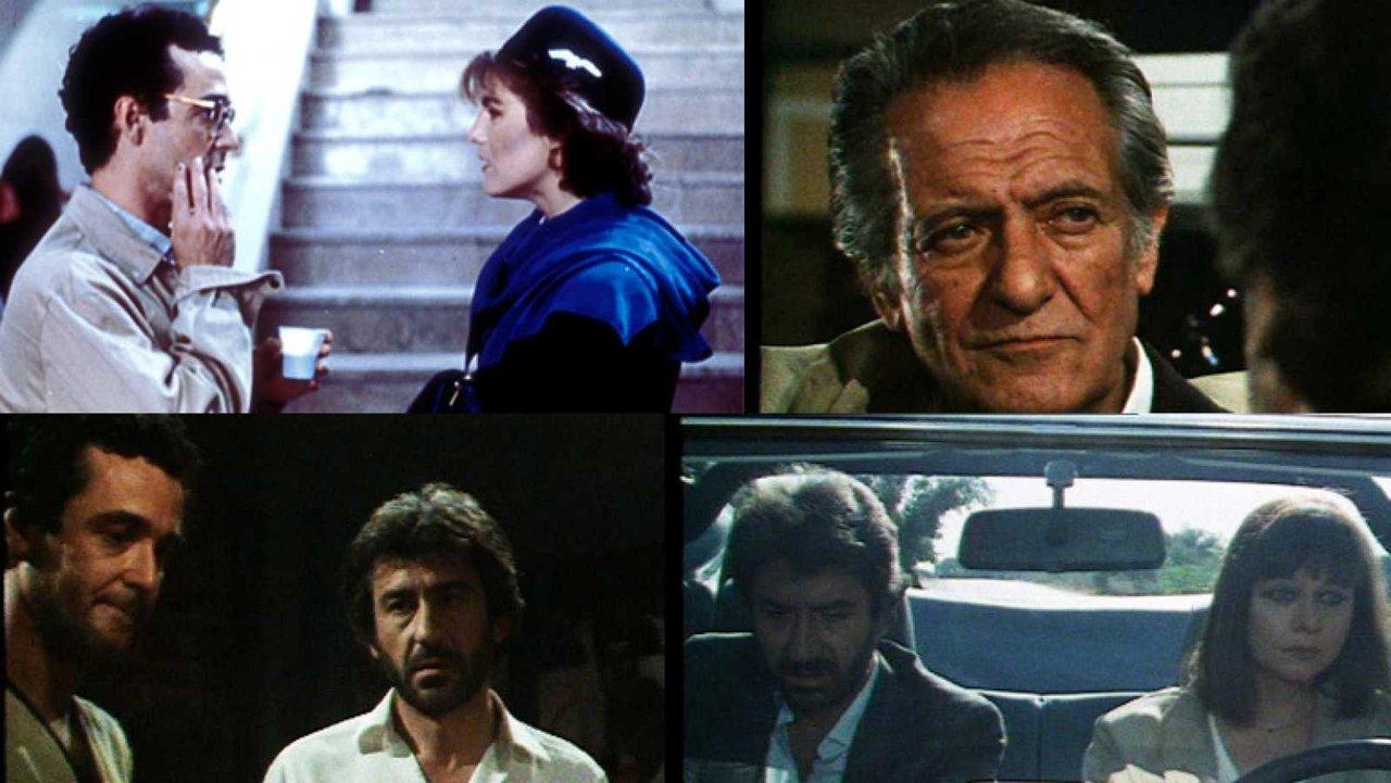 Gatos en el Tejado backdrop