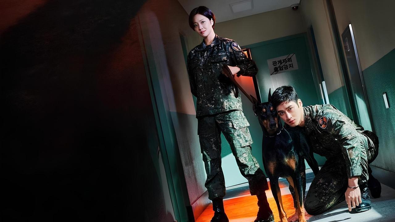 Military Prosecutor Doberman backdrop
