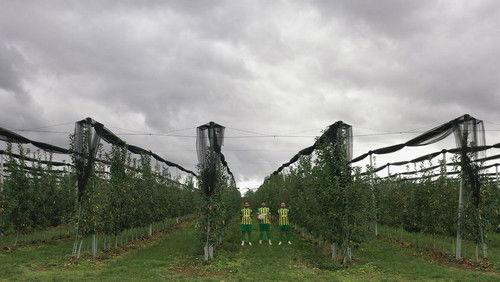 Village United Season 1 Episode 6 - Δόξα Βερμίου Πύργων