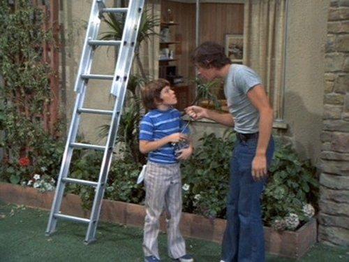 The Brady Bunch Season 3 Episode 15 - Big Little Man