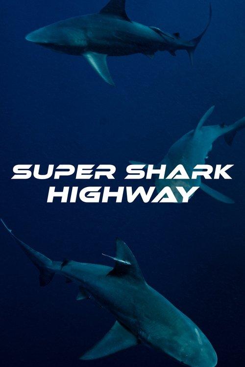 Super Shark Highway poster
