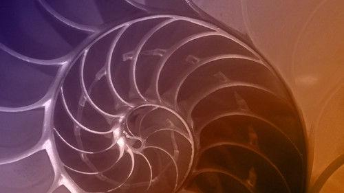 NOVA Season 42 Episode 17 - The Great Math Mystery