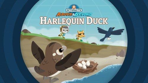 Octonauts: Above & Beyond Season 1 Episode 19 - The Octonauts and the Harlequin Duck