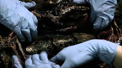 Falling Skies Season 1 Episode 8 - What Hides Beneath