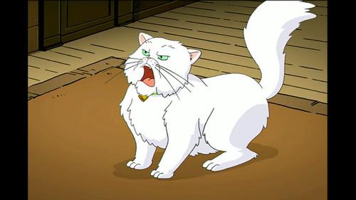 Background image for A Little Vacation