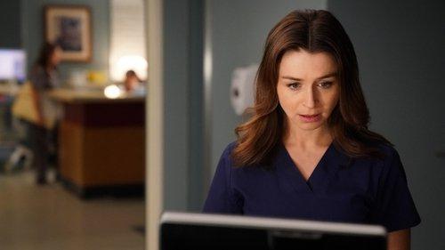 Grey's Anatomy Season 14 Episode 2 - Get Off on the Pain