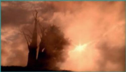 NOVA Season 29 Episode 8 - Methuselah Tree