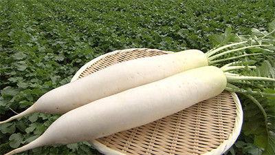 Background image for Daikon