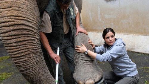 Tierärztin Dr. Mertens Season 2 Episode 4 - Episode 4