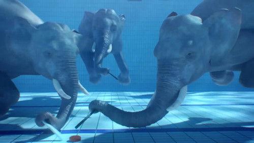 Athleticus Season 4 Episode 7 - Episode 7