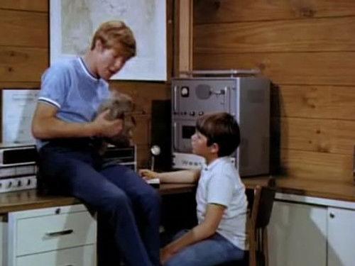 Skippy the Bush Kangaroo Season 2 Episode 21 - Wombat