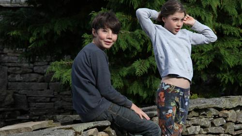 Background image for Autumn