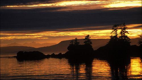 Nature Season 21 Episode 13 - A Mystery in Alaska