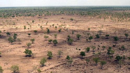 L'Afrique vue du ciel Season 1 Episode 3 - Episode 3