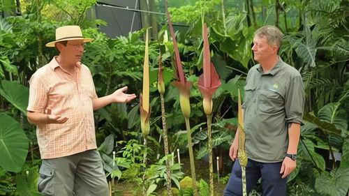 Gardening Australia Season 33 Episode 11 - Episode 11 Worms, Shade, Seed Smoke, Cairns & Courtyard