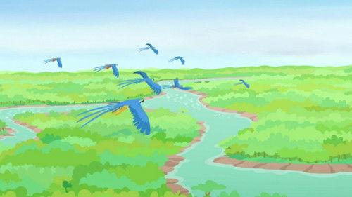 Wild Kratts Season 6 Episode 10 - Amazin' Amazon Adventure