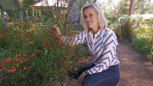 Gardening Australia Season 31 Episode 6 - Episode 6 Island Eden, Taste of the Torres Strait & Garden Gnomes