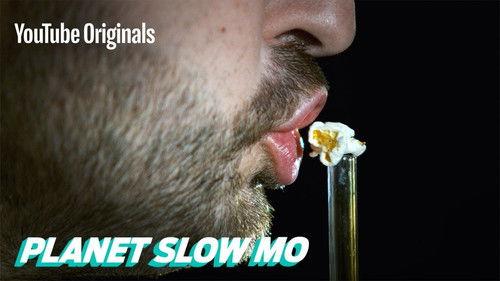 Planet Slow Mo Season 1 Episode 18 - Human Speed vs Animal Speed